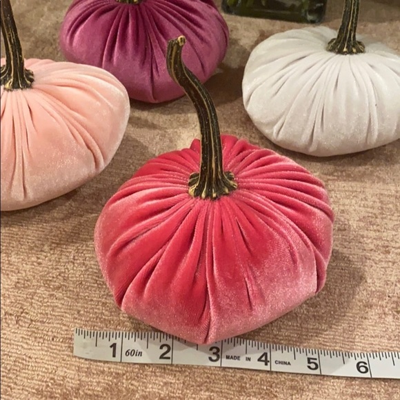Fall Decor Plush Pumpkin Set of 4 monochromatic Pinks - Picture 3 of 4